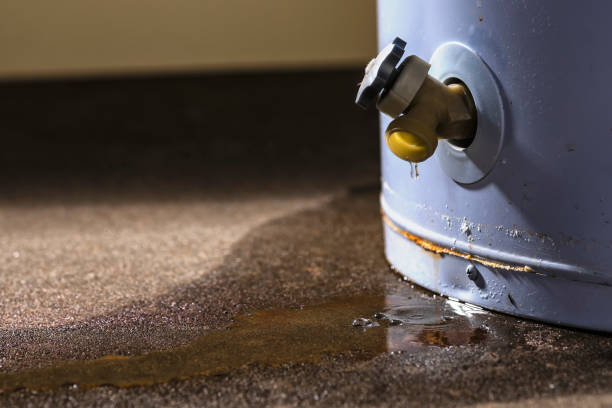 Best Water damage mitigation services  in Gruetli Laager, TN