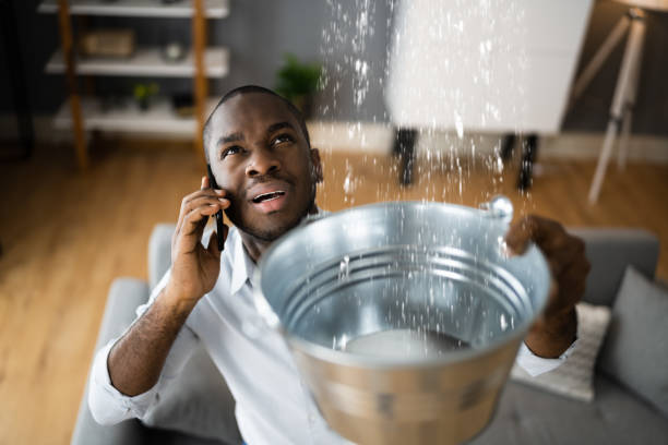 Best Flood restoration services  in Gruetli Laager, TN