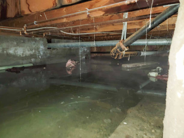 Best Fire Damage Restoration  in Gruetli Laager, TN
