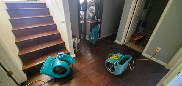 Best Water damage restoration near me  in Gruetli Laager, TN