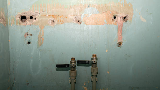 Best Residential water damage restoration  in Gruetli Laager, TN