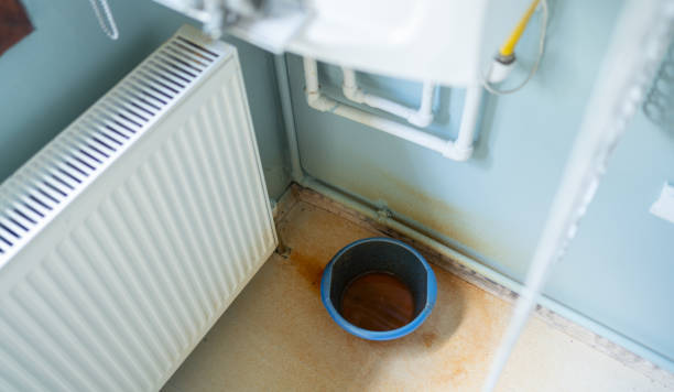 Best Flood damage cleanup  in Gruetli Laager, TN