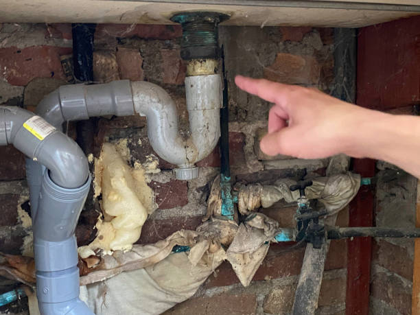 Best Water damage restoration near me  in Gruetli Laager, TN