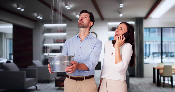 Best Fire Damage Restoration  in Gruetli Laager, TN