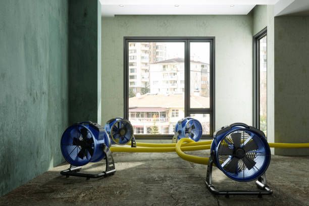 Best Carpet water damage restoration  in Gruetli Laager, TN