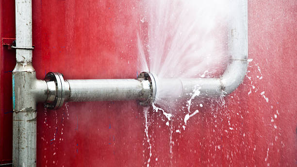Best Water damage cleanup near me  in Gruetli Laager, TN